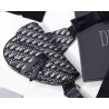 Dior Men's Saddle Belt Bag In Oblique Canvas 880