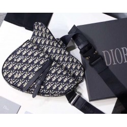 Dior Men's Saddle Belt Bag In Oblique Canvas 880