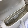 Dior Saddle Bag In White Matte Calfskin 451