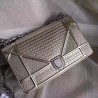 Dior Diorama Bag In Champagne Metallic Calfskin 720