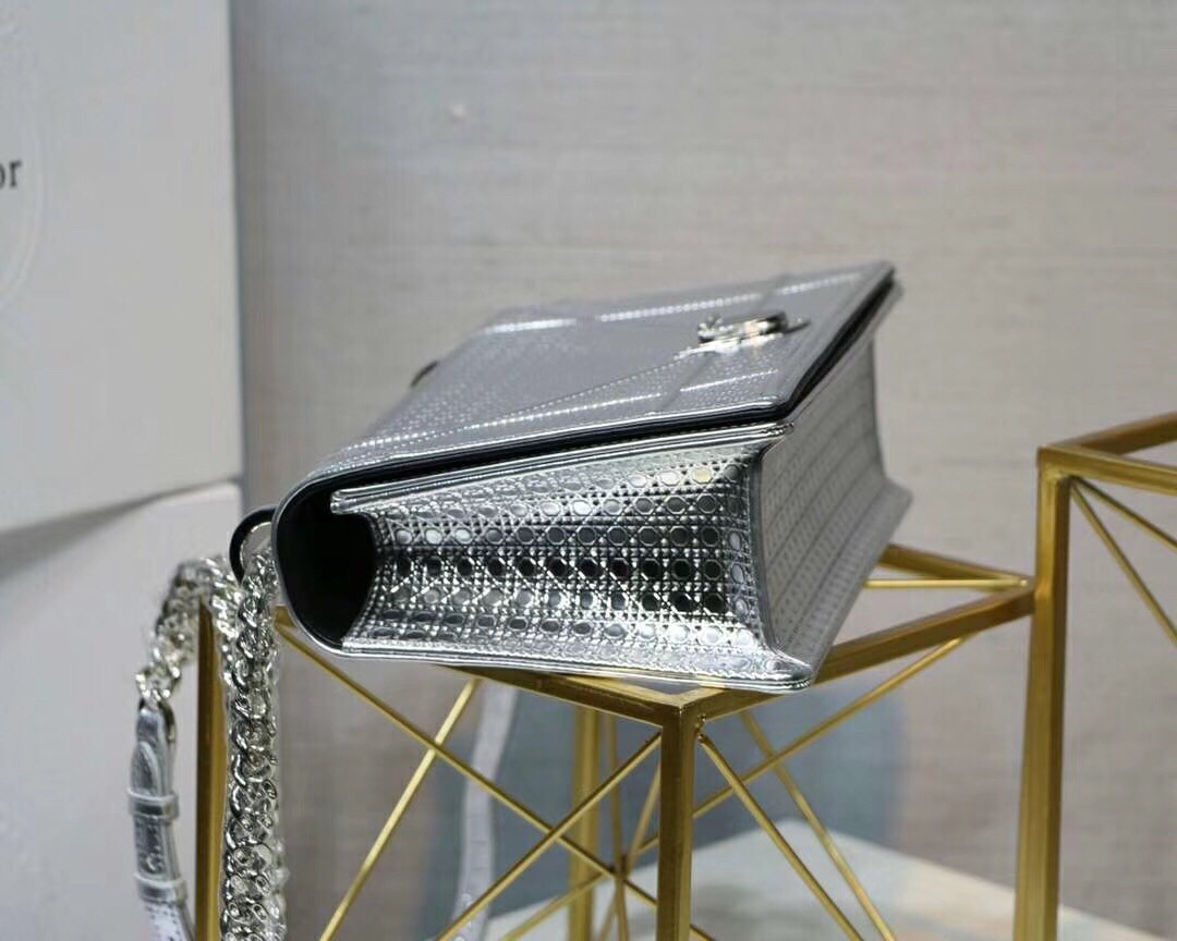 Dior Diorama Bag In Silver Metallic Calfskin 748