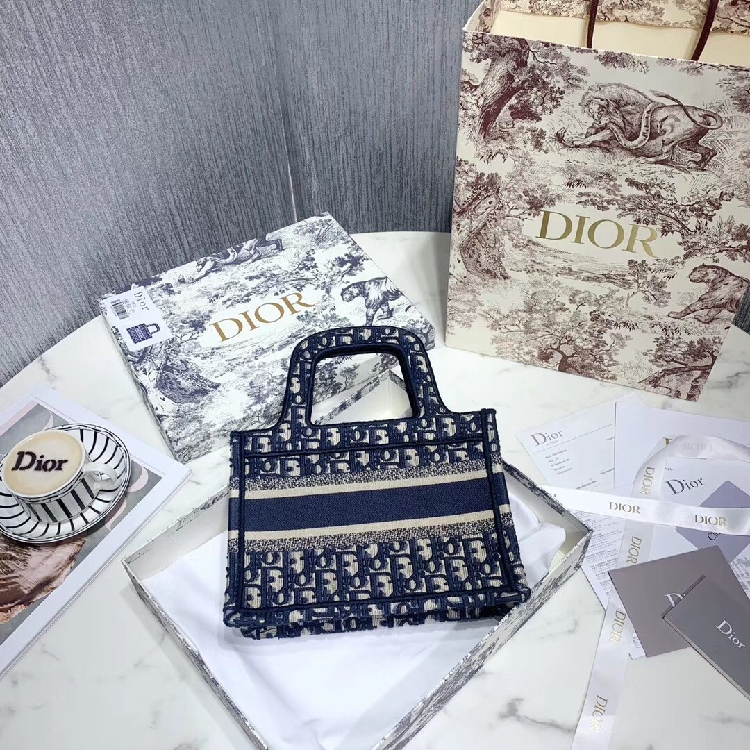 Dior Mini Book Tote Bag In Blue Oblique Canvas 160