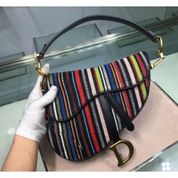 Dior Saddle Canvas Bag Embroidered With Multi-coloured Stripes 778