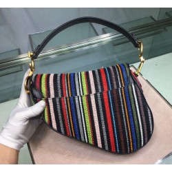 Dior Saddle Canvas Bag Embroidered With Multi-coloured Stripes 778