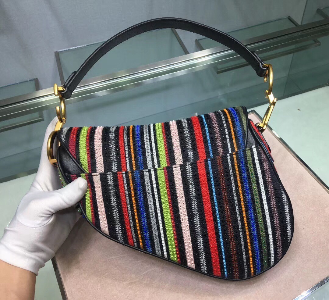 Dior Saddle Canvas Bag Embroidered With Multi-coloured Stripes 778