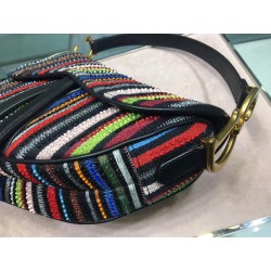 Dior Saddle Canvas Bag Embroidered With Multi-coloured Stripes 778