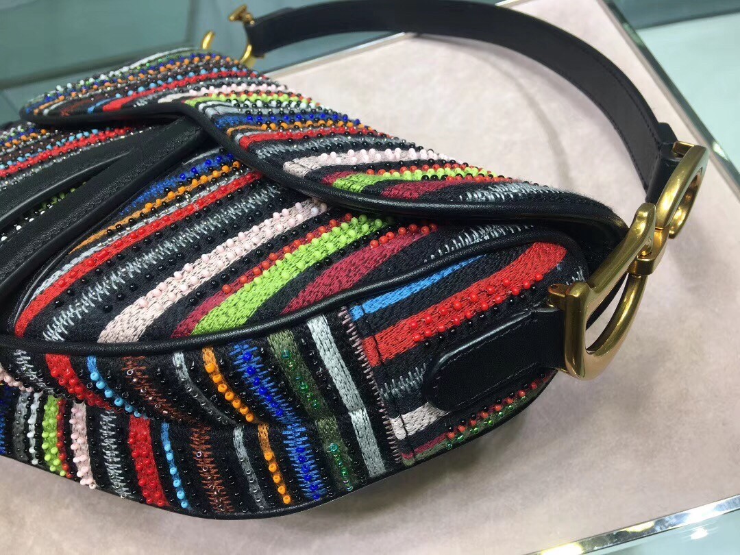 Dior Saddle Canvas Bag Embroidered With Multi-coloured Stripes 778