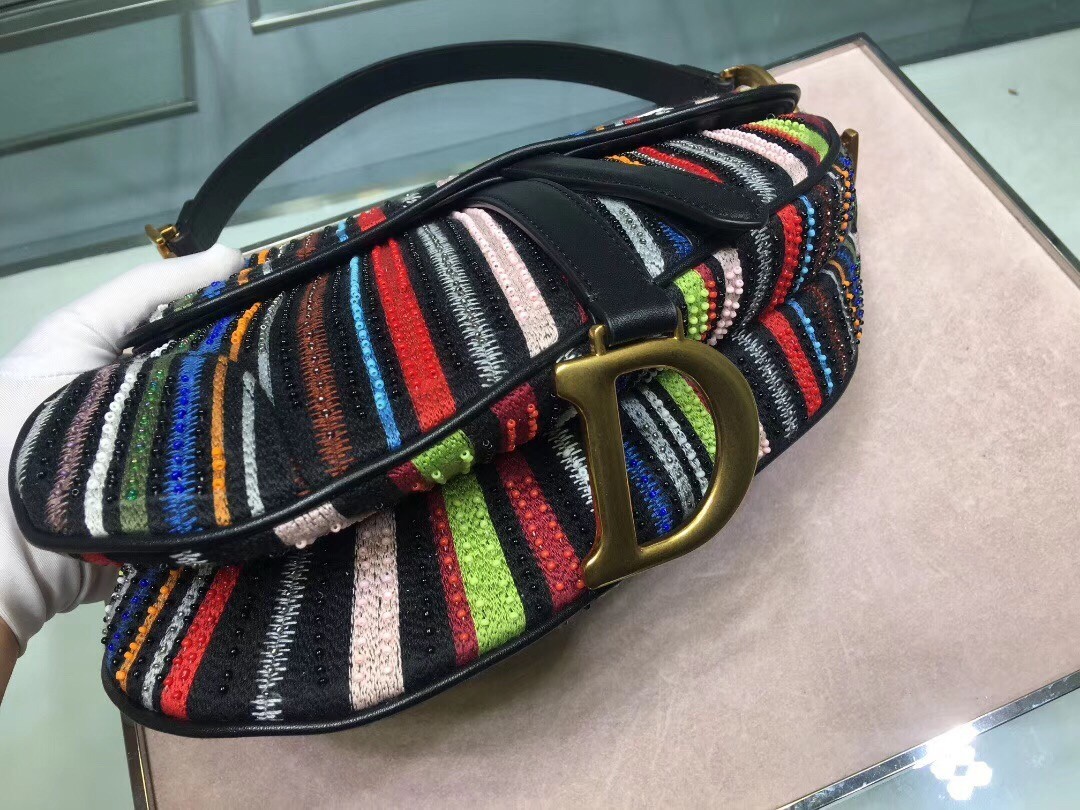 Dior Saddle Canvas Bag Embroidered With Multi-coloured Stripes 778