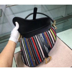 Dior Saddle Canvas Bag Embroidered With Multi-coloured Stripes 778