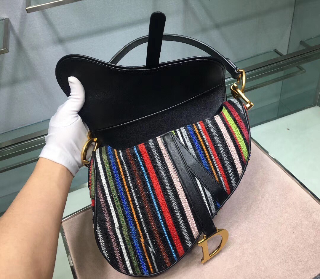 Dior Saddle Canvas Bag Embroidered With Multi-coloured Stripes 778