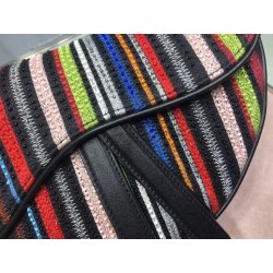 Dior Saddle Canvas Bag Embroidered With Multi-coloured Stripes 778