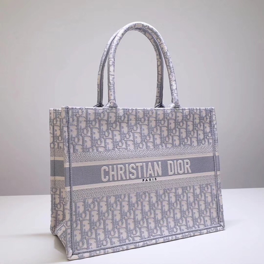 Dior Small Book Tote Bag In Grey Oblique Canvas 179