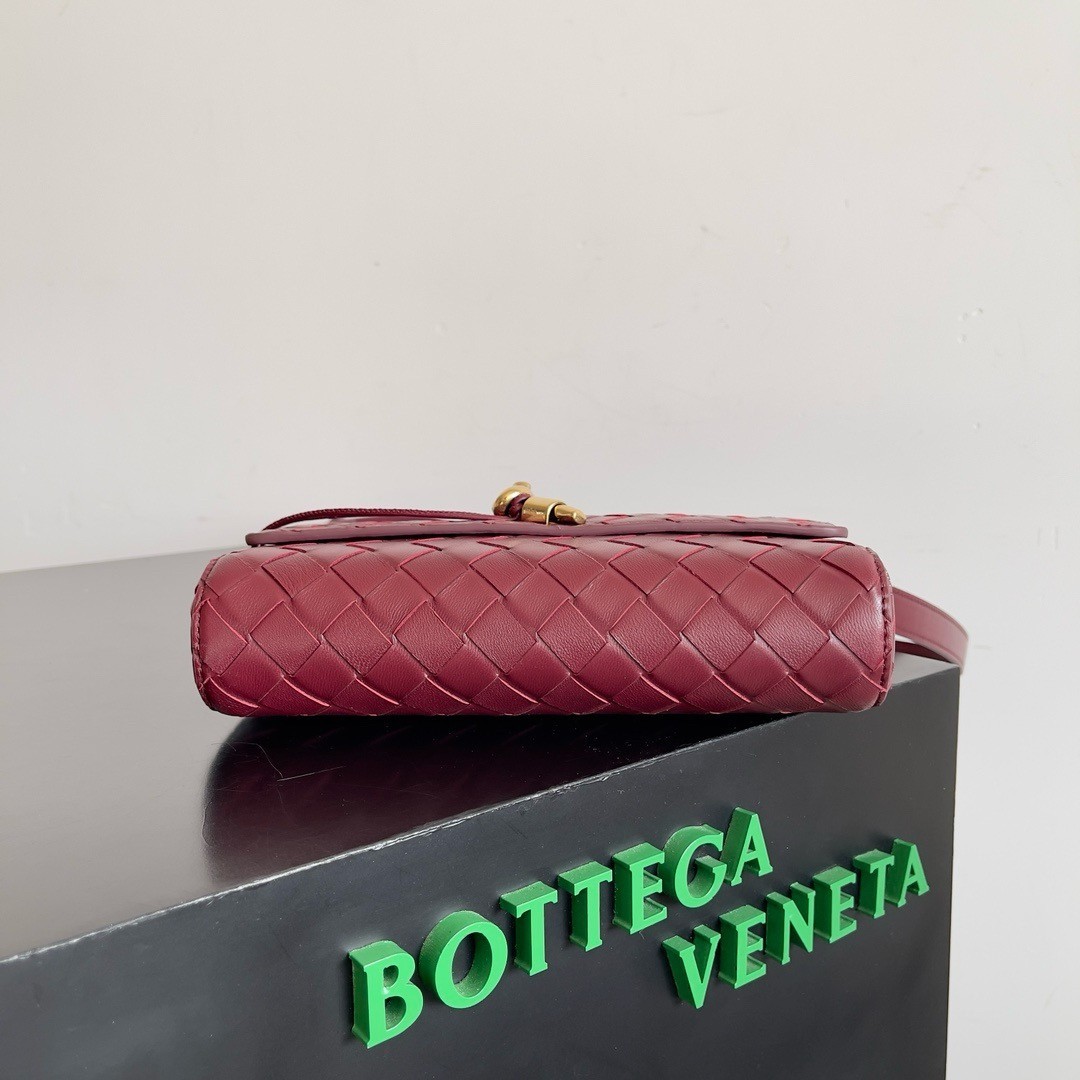 Bottega Veneta Mini Andiamo Cross-Body Bag in Barolo Intrecciato Lambskin 354