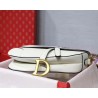 Dior Saddle Bag In White Grained Calfskin 328