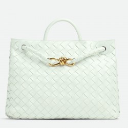 Bottega Veneta Andiamo Medium Bag In Glacier Intrecciato Lambskin 669