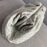 Bottega Veneta The Pouch Clutch In Plaster Intrecciato Leather 422