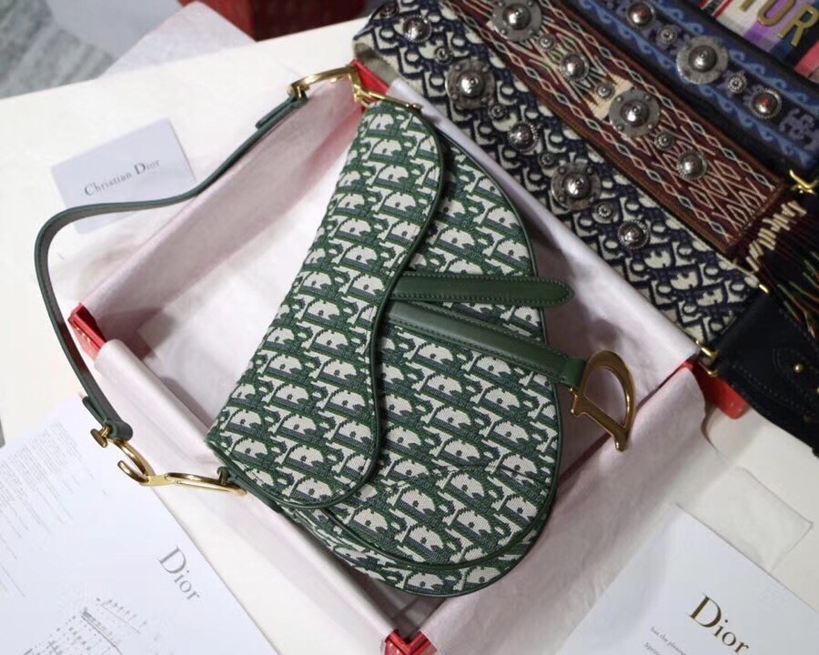 Dior Saddle Bag In Green Oblique Jacquard Canvas 140