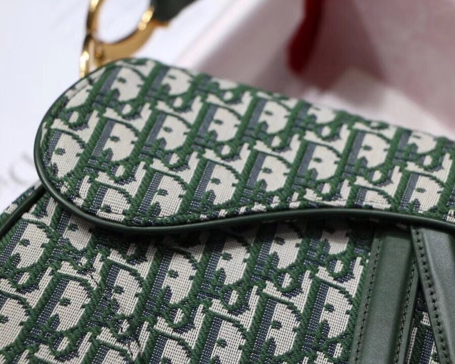 Dior Saddle Bag In Green Oblique Jacquard Canvas 140