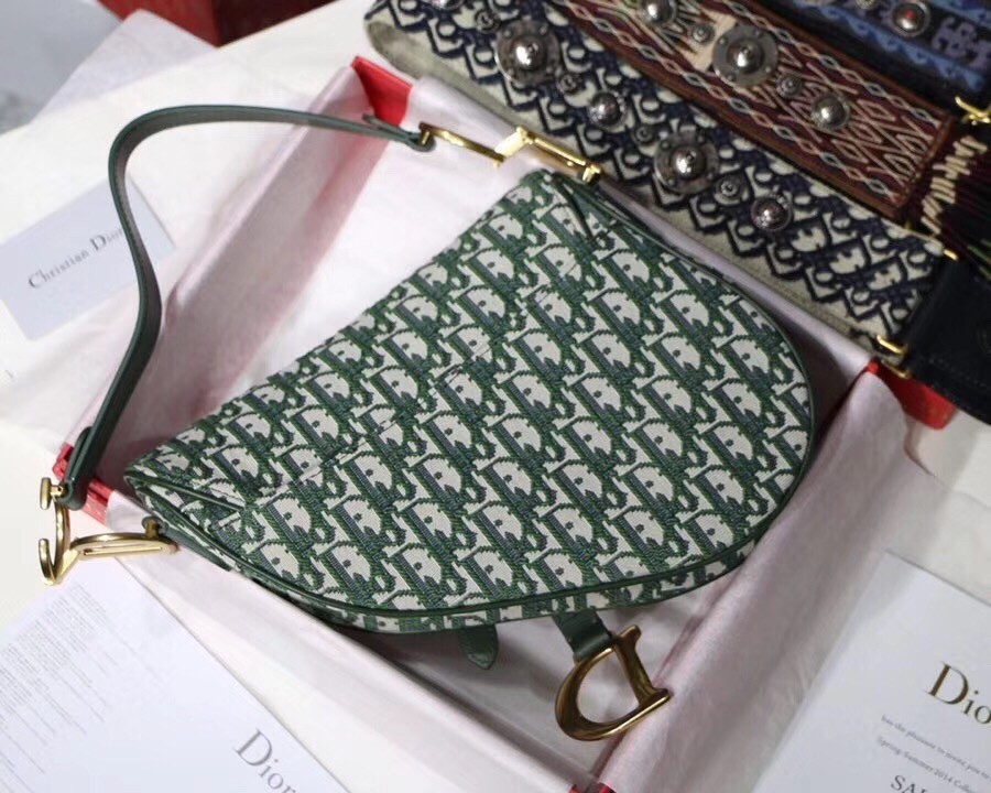 Dior Saddle Bag In Green Oblique Jacquard Canvas 140