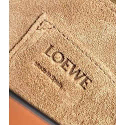 Loewe Small Gate Bag In Tan Calfskin and Jacquard 113