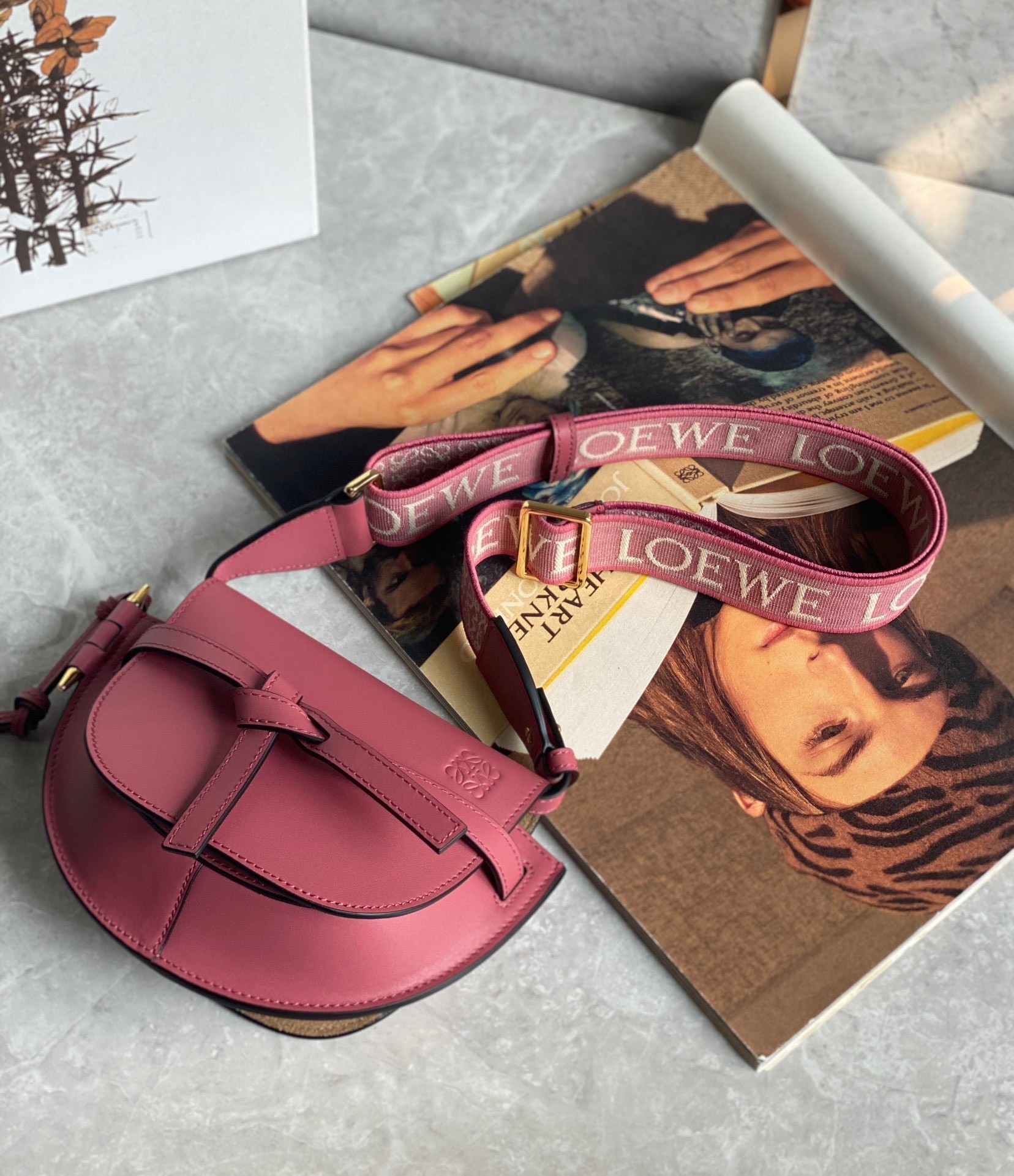 Loewe Mini Gate Dual Bag In Plumrose Calfskin 429