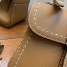 Delvaux Brillant PM Surpique Bag in Brown Rodeo Calf Leather 042