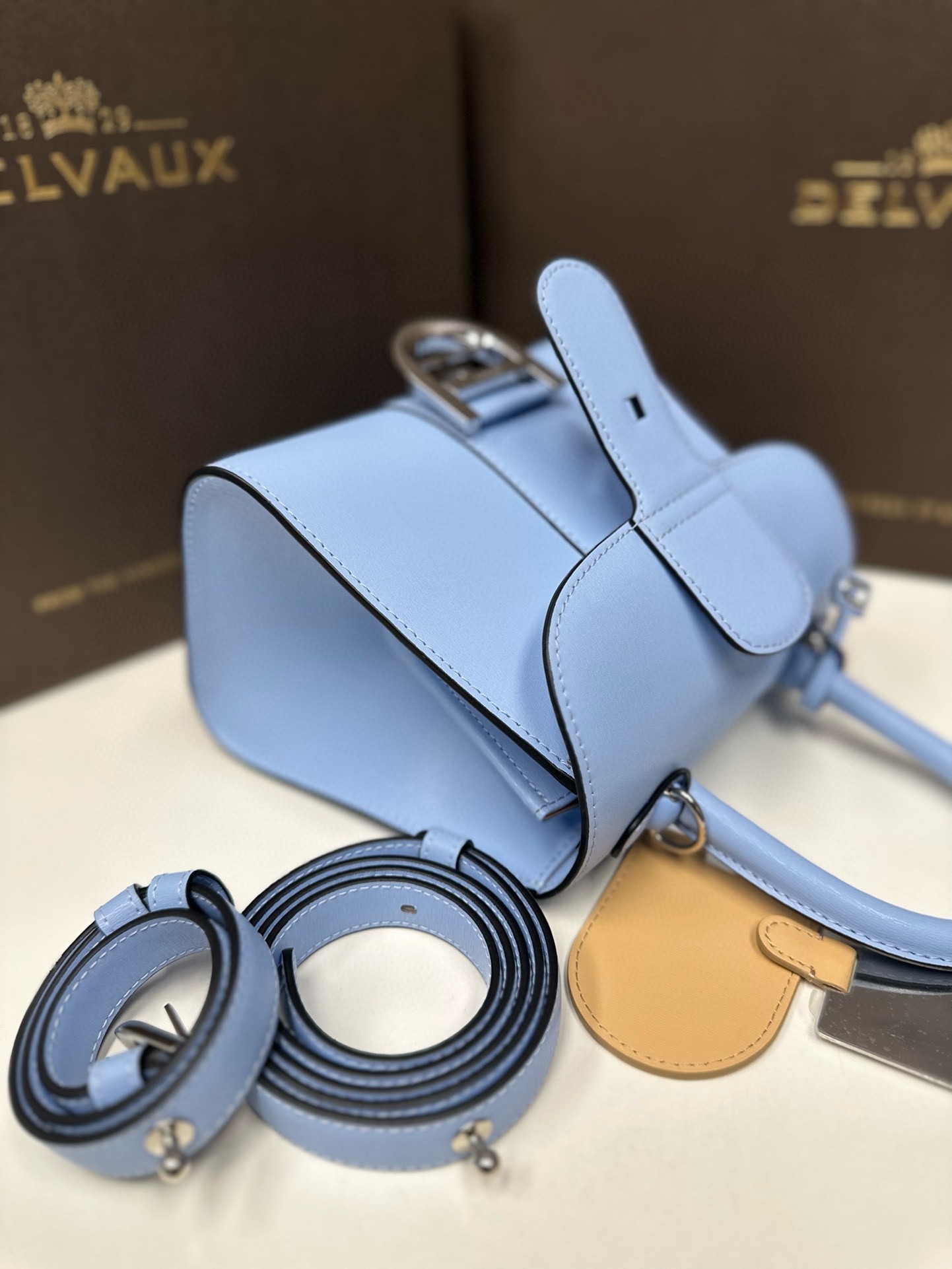 Delvaux Brillant Mini Bag in Azure Box Calf Leather 124