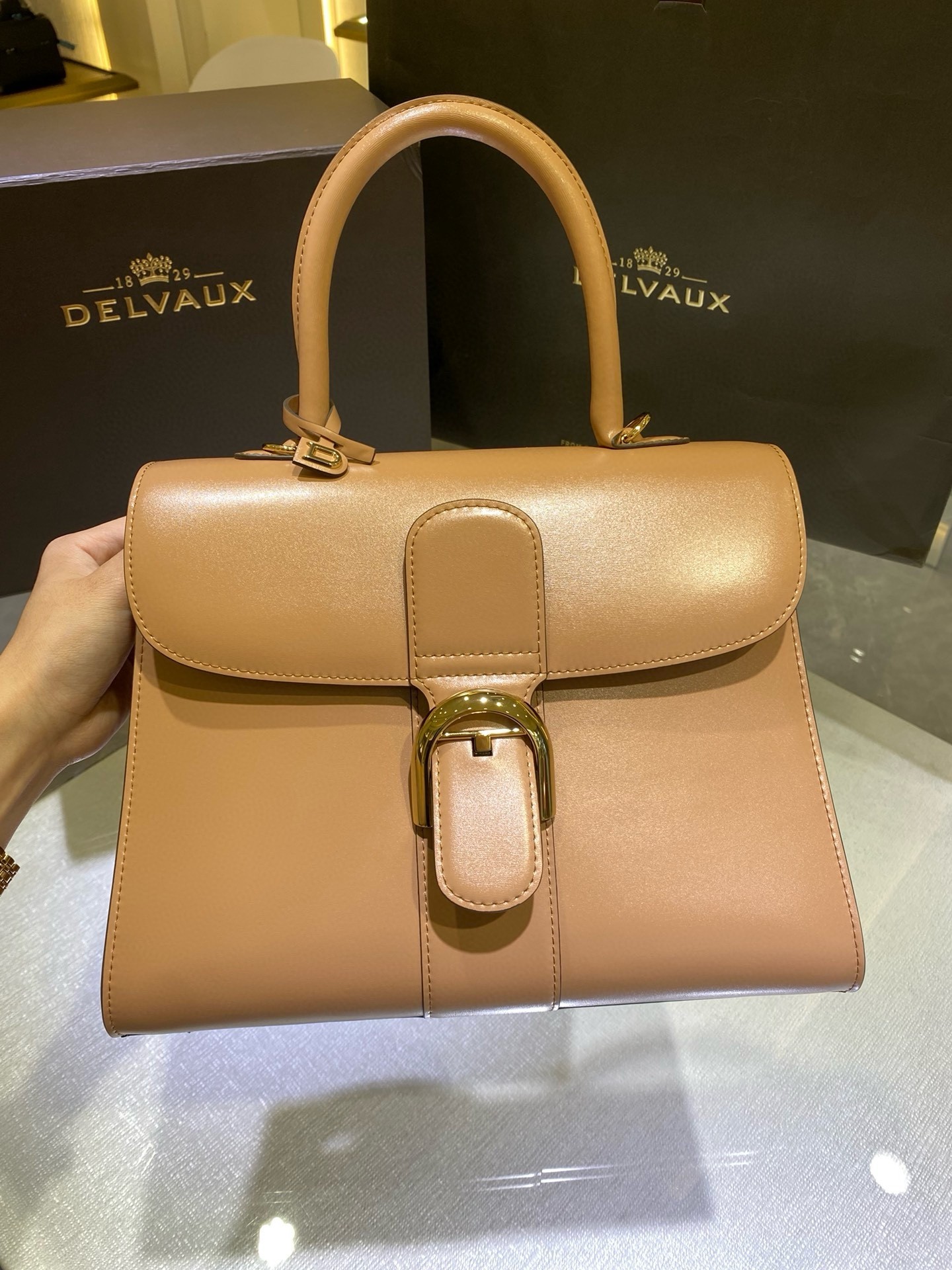 Delvaux Brillant MM Bag in Tender Beige Box Calf Leather 235