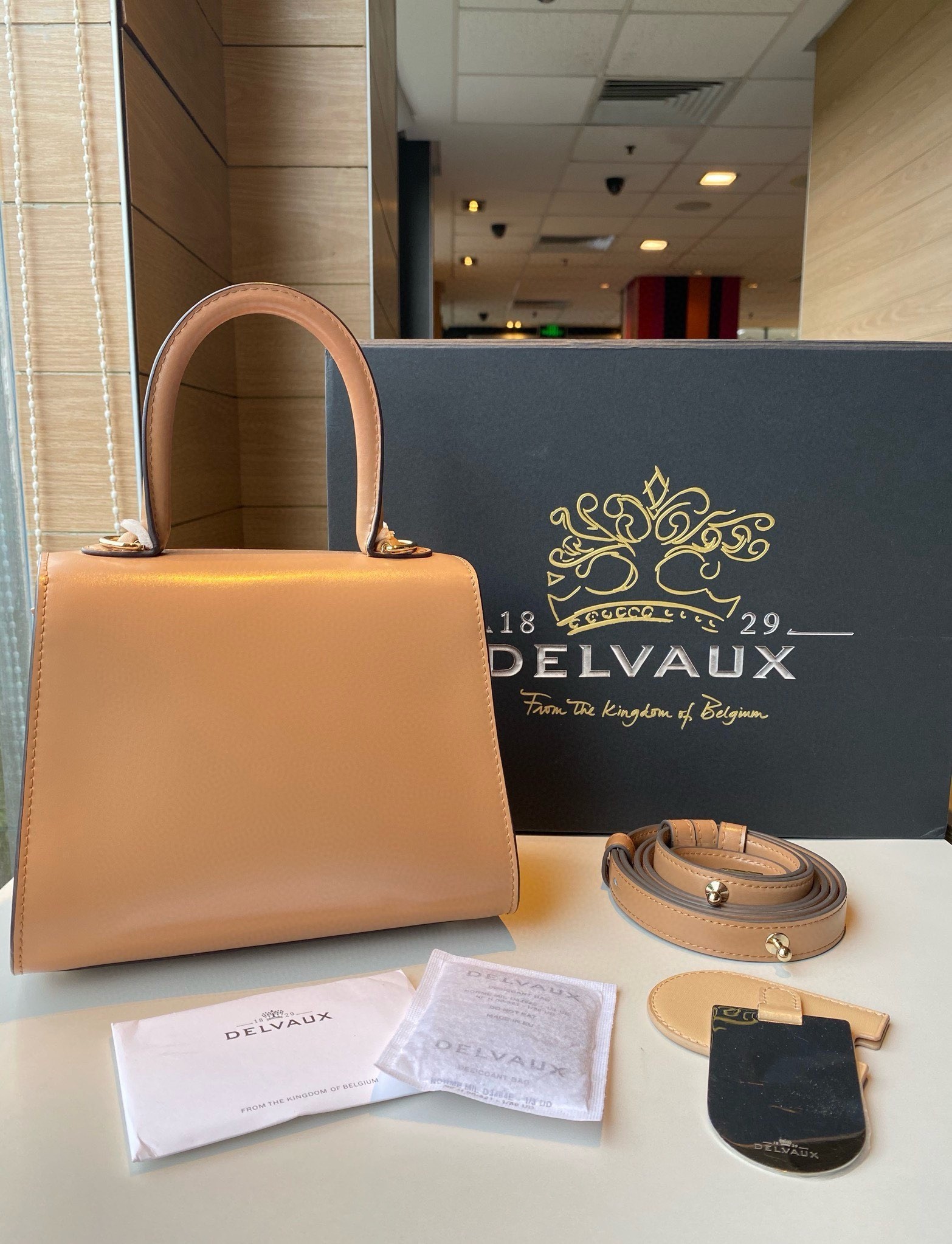 Delvaux Brillant Mini Bag in Tender Beige Box Calf Leather 274