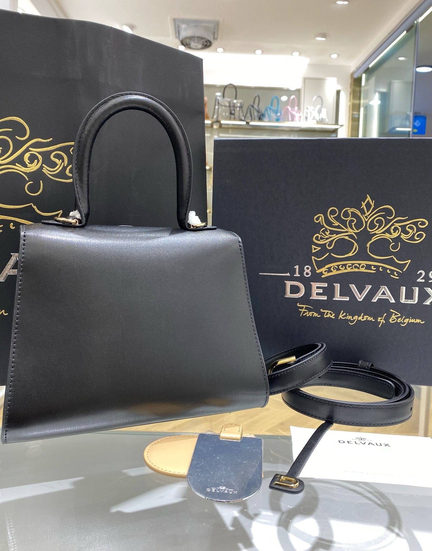 Delvaux Brillant Mini Bag in Black Box Calf Leather 528