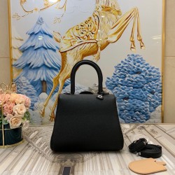 Delvaux Brillant Mini Bag in Black Rodeo Calf Leather 571