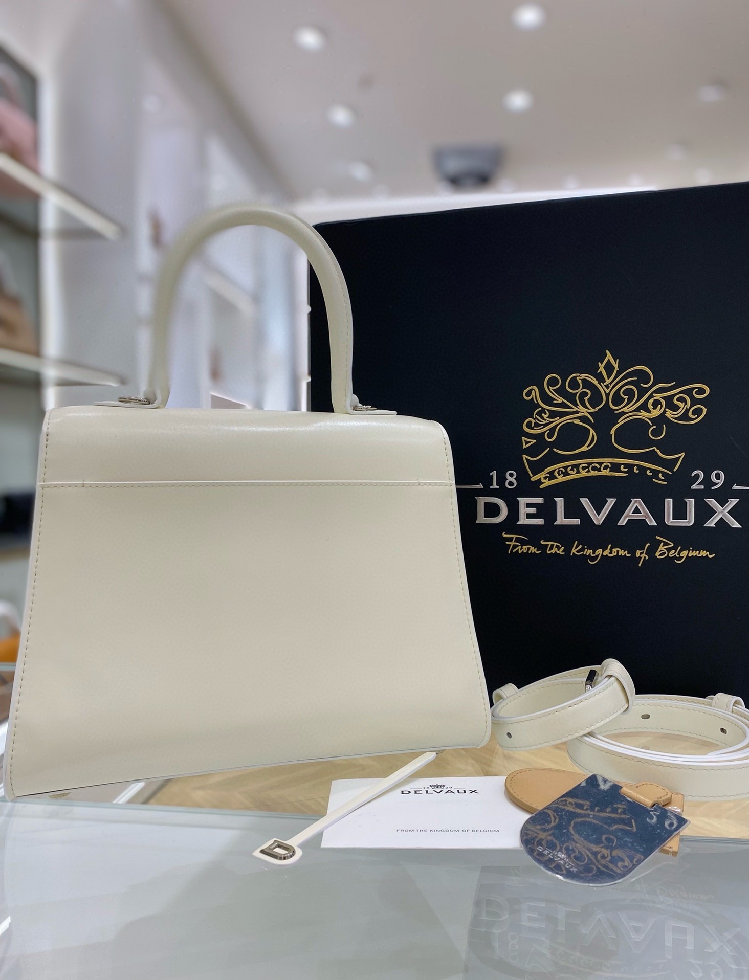 Delvaux Brillant PM Bag in Ivory Box Calf Leather 685