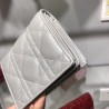 Dior Mini Lady Dior Wallet In Opal Grey Pearly Lambskin 553