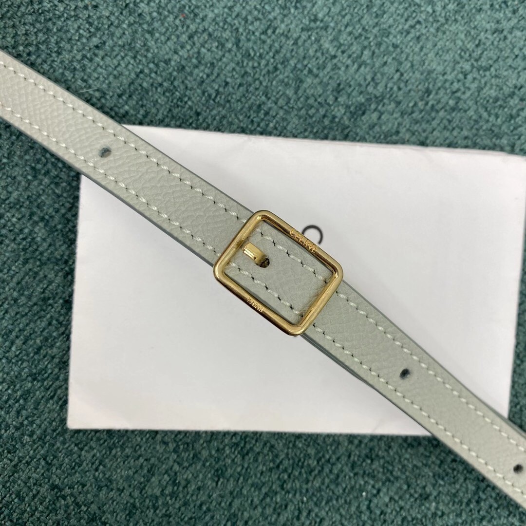 Celine Belt Nano Bag In Vert D'eau Grained Calfskin 889