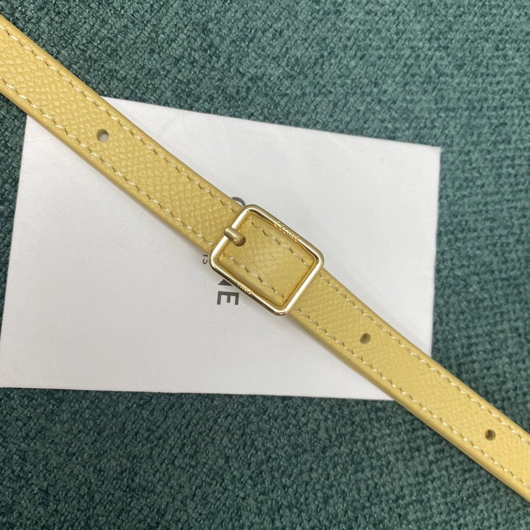 Celine Belt Nano Bag In Yellow Grained Calfskin 976