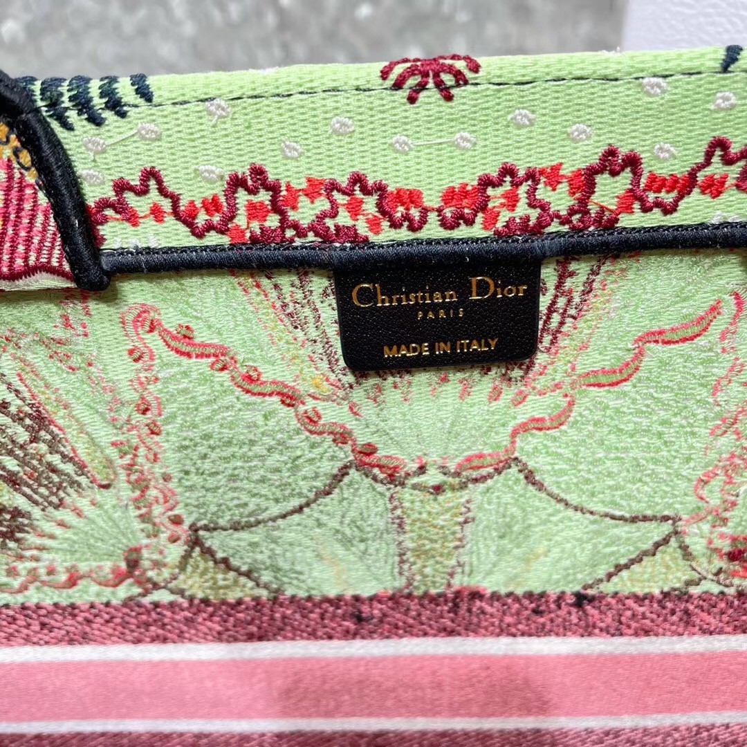 Dior Book Tote Bag In Multicolor Lights Embroidery 209