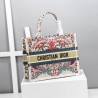 Dior Small Book Tote In Heart Lights Dior Embroidery 918