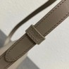 Celine Triomphe Teen Bag In Grey Leather 061