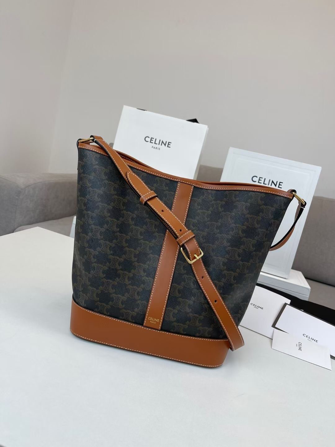 Celine Medium Bucket Bag In Triomphe Canvas and Calfskin 501