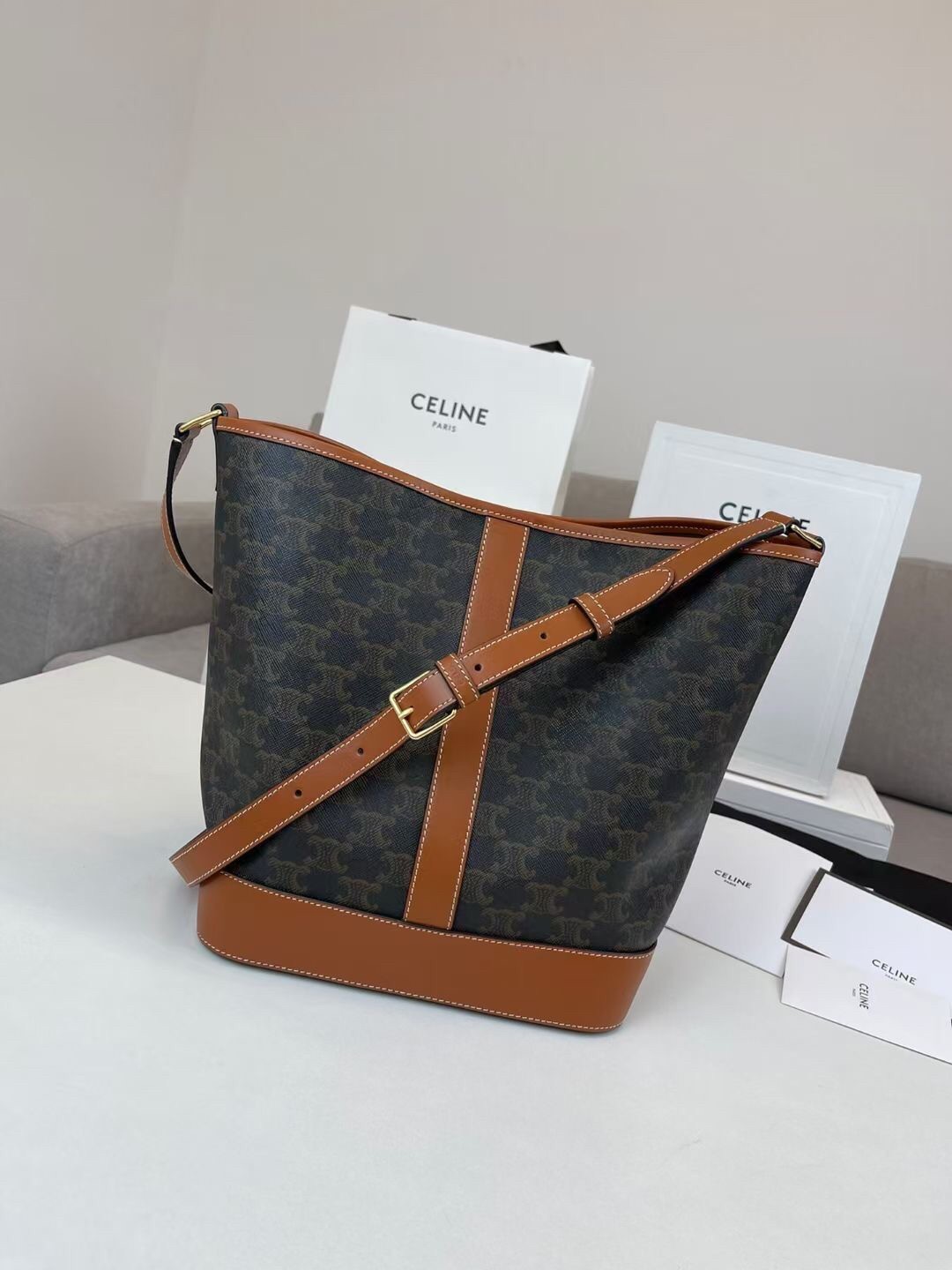 Celine Medium Bucket Bag In Triomphe Canvas and Calfskin 501