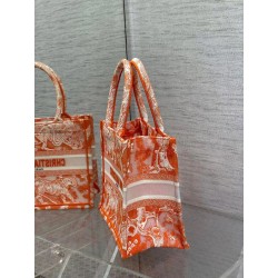 Dior Small Book Tote Bag In Orange Transparent Toile De Jouy Canvas