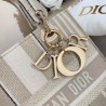 Dior Medium Lady D-Lite Bag In Beige Stripes Embroidery 647