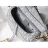 Dior Saddle Bag In Gray Dior Oblique Embroidery 687