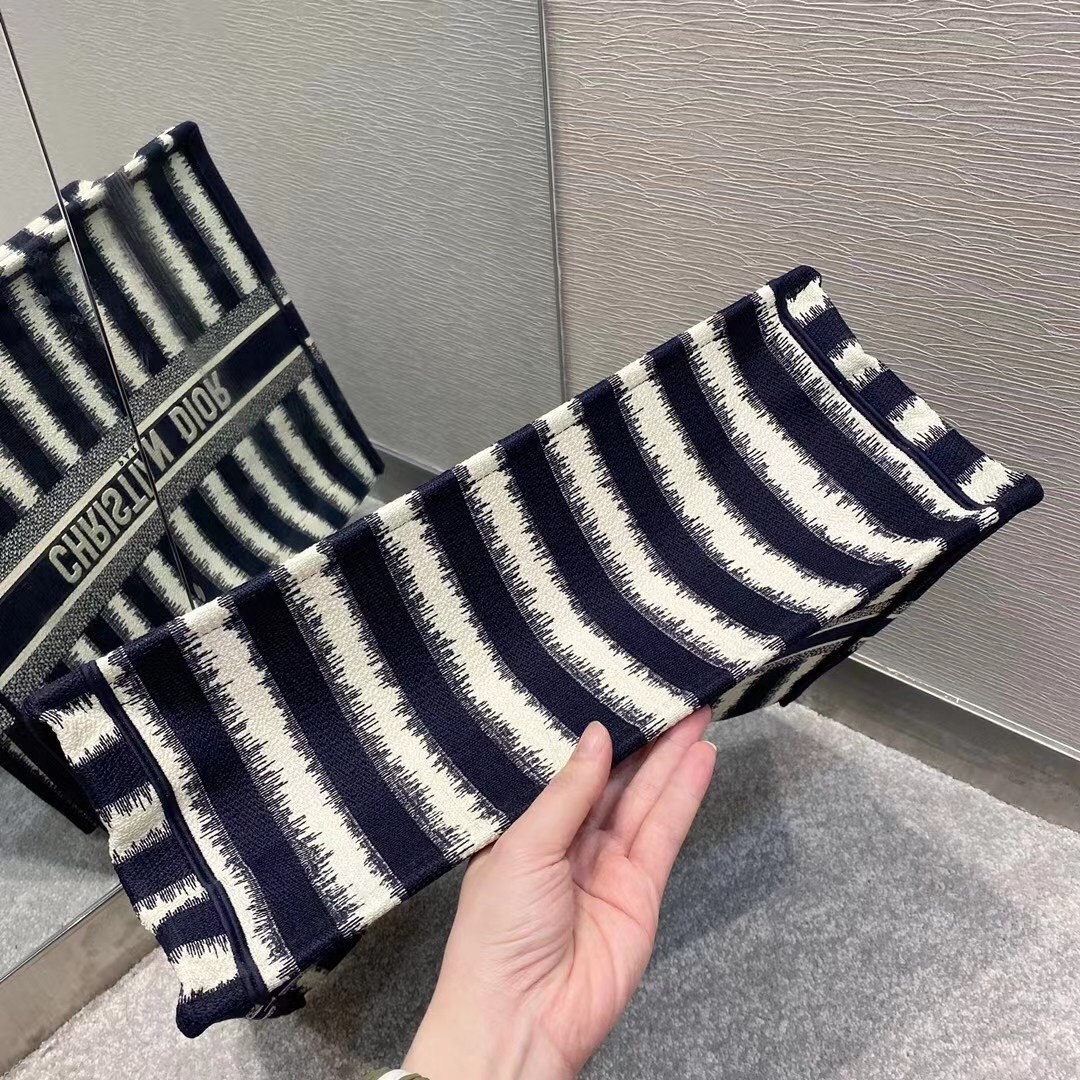 Dior Book Tote Bag In Blue Stripes Embroidery 371