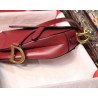 Dior Mini Saddle Bag In Red Calfskin 532