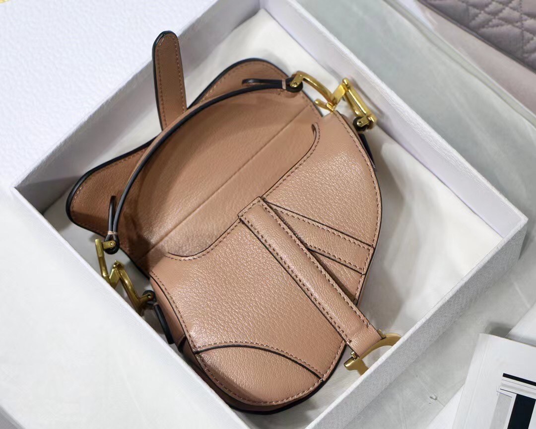 Dior Micro Saddle Bag In Poudre Goatskin 271