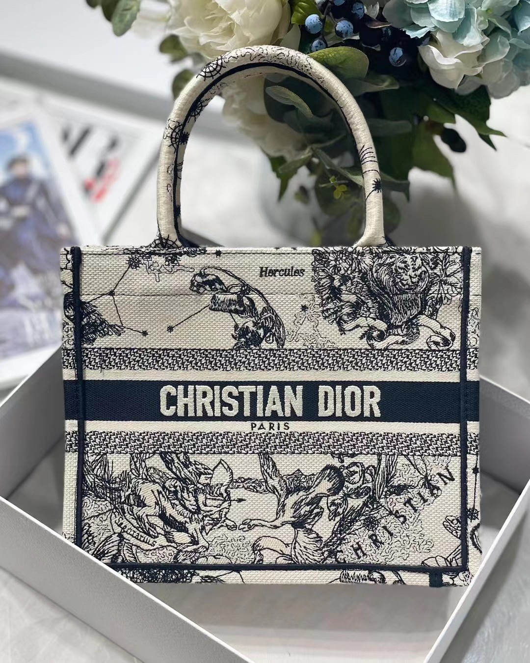 Dior New Small Book Tote In White Toile de Jouy Zodiac Embroidery 455