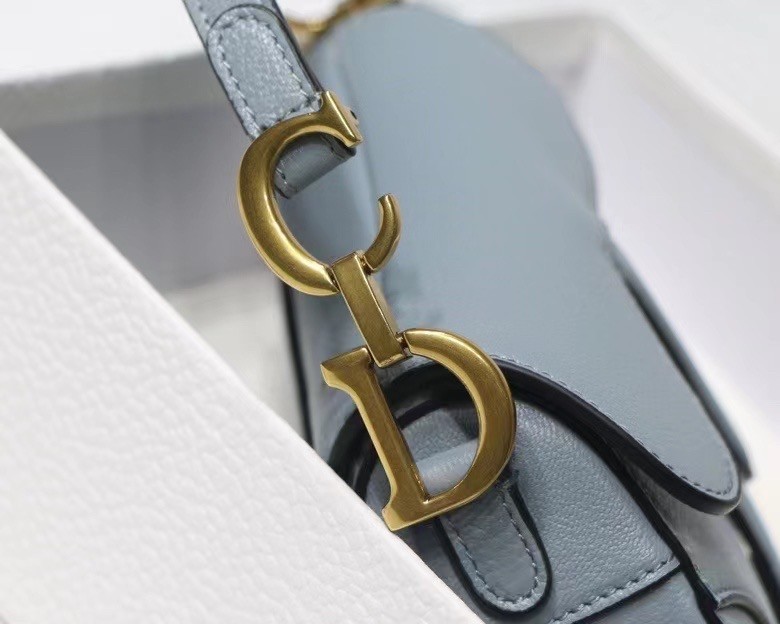 Dior Micro Saddle Bag In Grey Goatskin 065