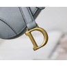 Dior Micro Saddle Bag In Grey Goatskin 065