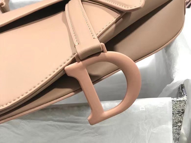 Dior Saddle Bag In Blush Ultramatte Calfskin 846